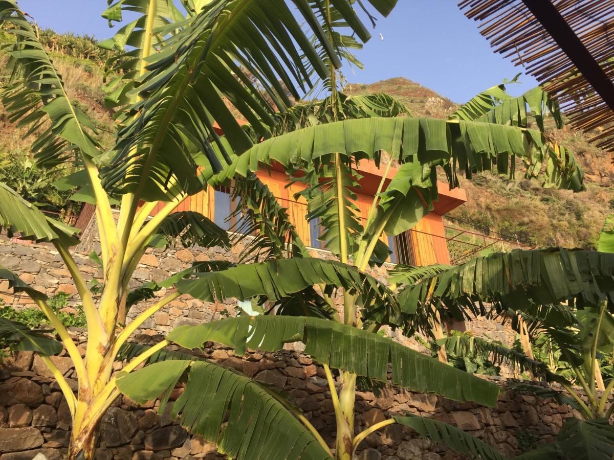 Mango House Villa Arco da Calheta  Exteriör bild